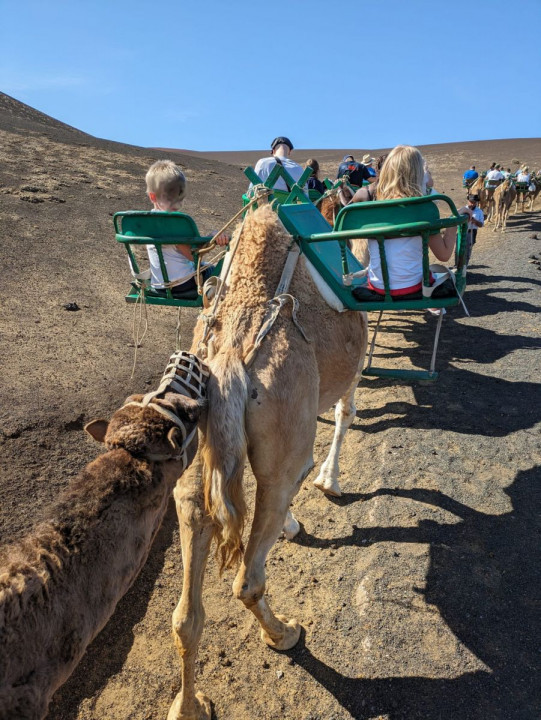 Lanzarote Kamelkarawane1