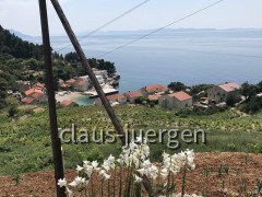 Podobuce Peljesac (23)