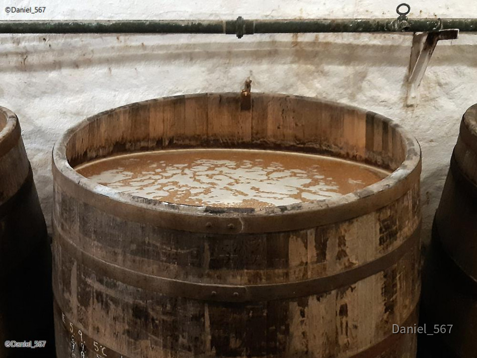 65_Urquell Brauerei