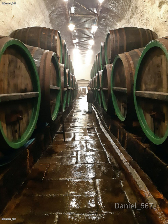 69_Urquell Brauerei