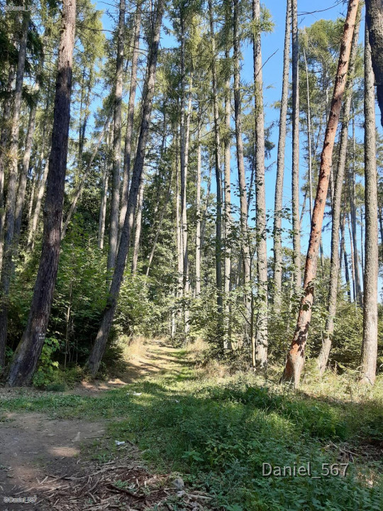 33_Stary Plznec Burg Radyne