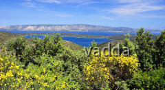 DSC_3318 Blick auf Kabal und Brač