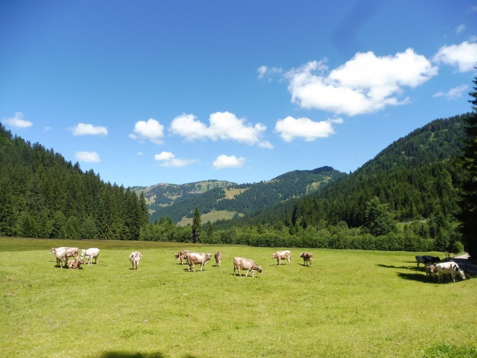 Alpe Scheuen