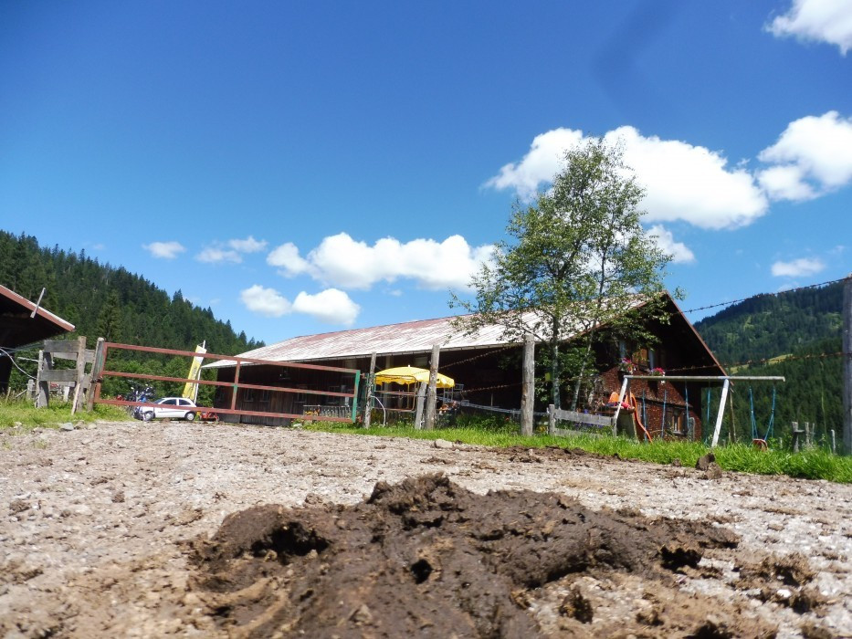 Alpe Scheuen