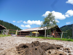 Alpe Scheuen