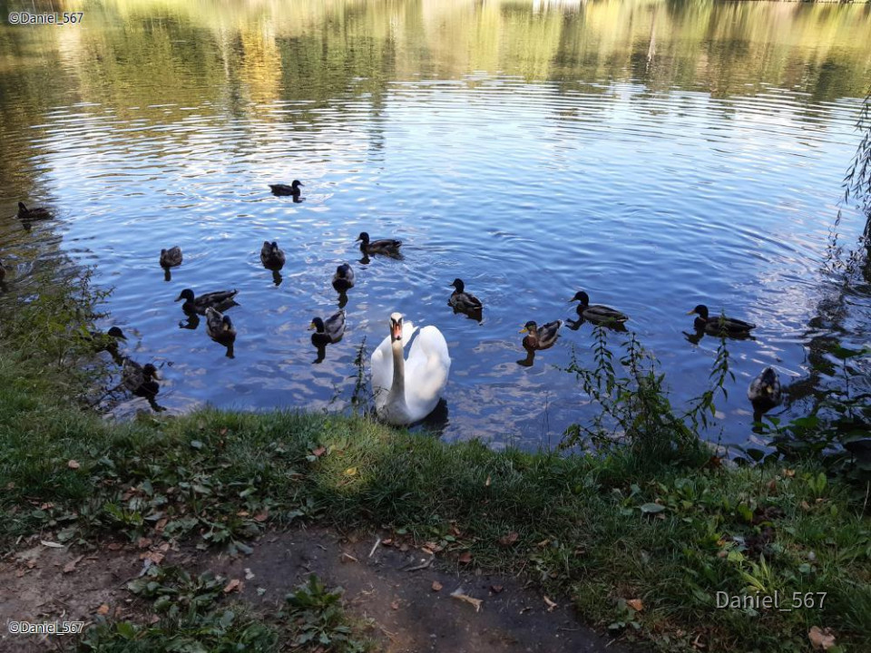 04_Stahlavy Schloss Kozel