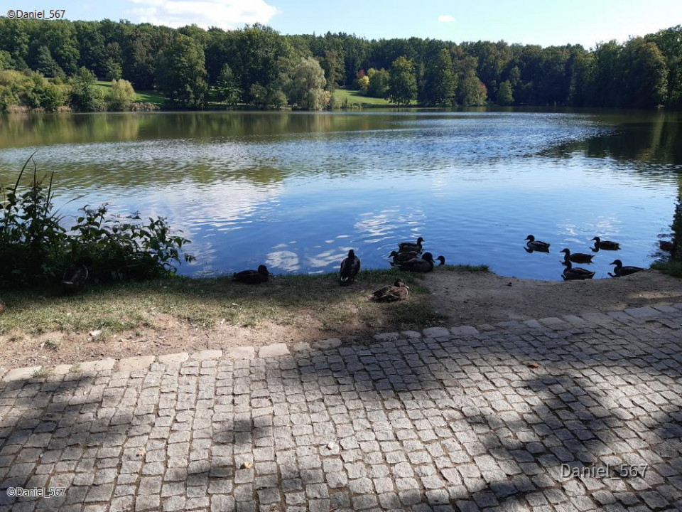 06_Stahlavy Schloss Kozel