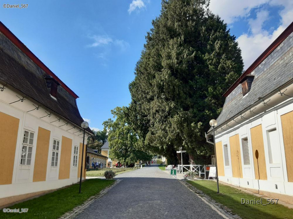 18_Stahlavy Schloss Kozel