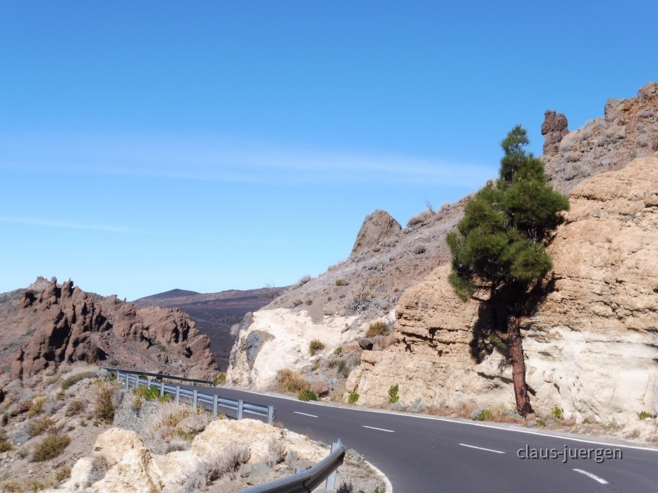 Teneriffa Forestal de Corona