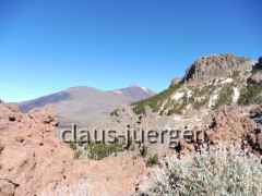 Teneriffa Forestal de Corona