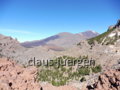 Teneriffa Forestal de Corona