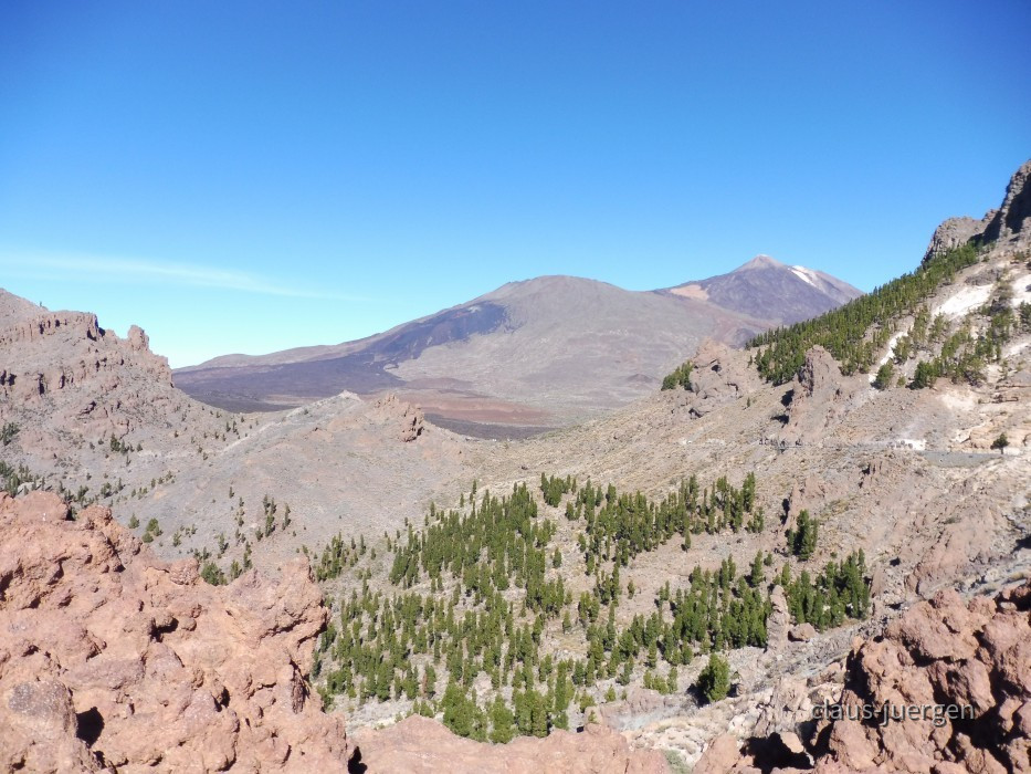 Teneriffa Forestal de Corona
