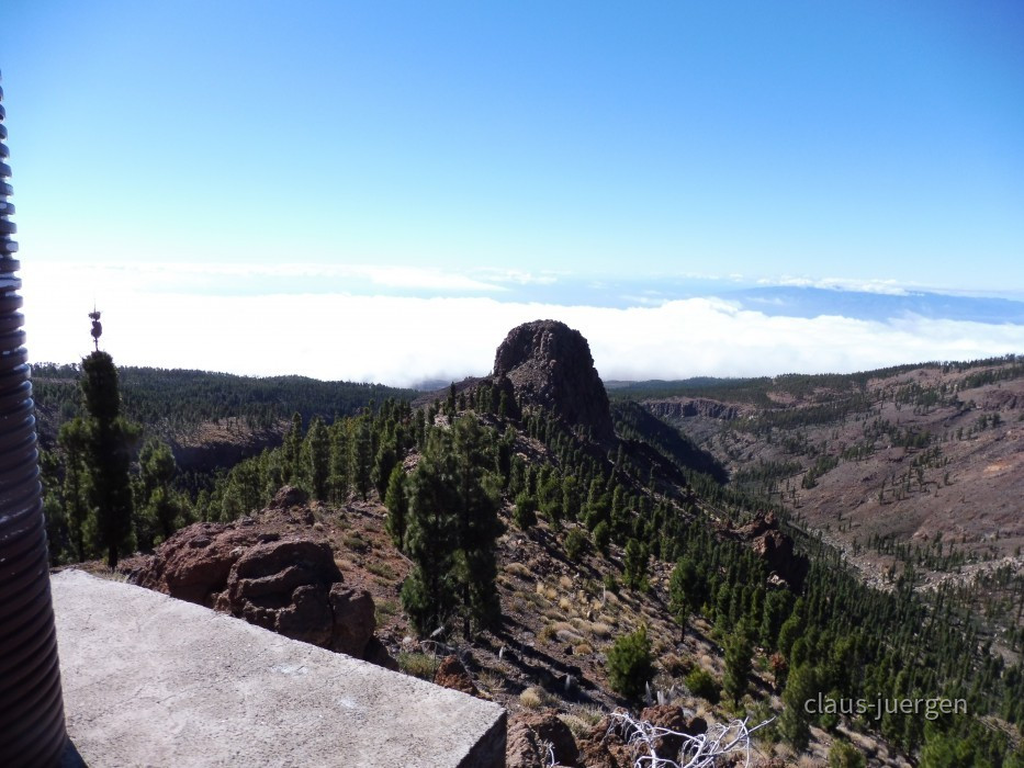 Teneriffa Forestal de Corona