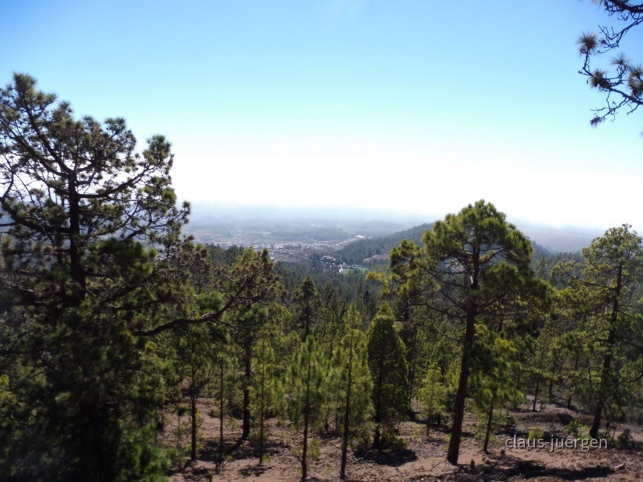 Teneriffa Forestal de Corona