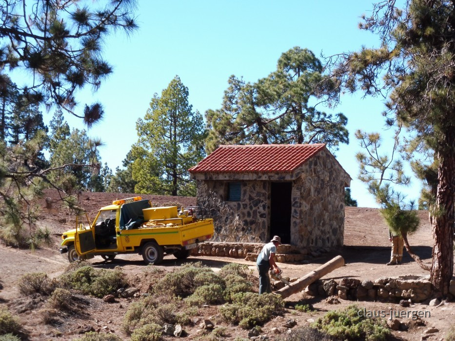 Teneriffa Forestal de Corona