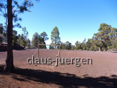 Teneriffa Forestal de Corona
