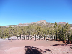Teneriffa Forestal de Corona
