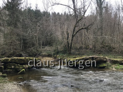 1337E2D7-DA8B-4D02-A243-90130351483E