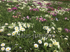 3B361800-7301-4913-8130-170BB71F9A37