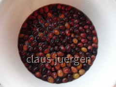 Oliven