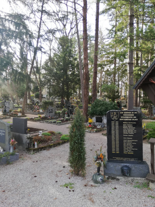 Bad Erlach < Nepomuk