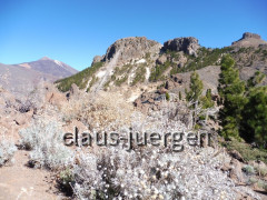 Teneriffa Las Canadas