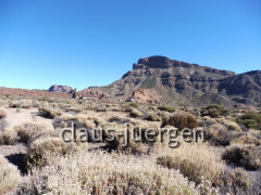 Teneriffa Las Canadas