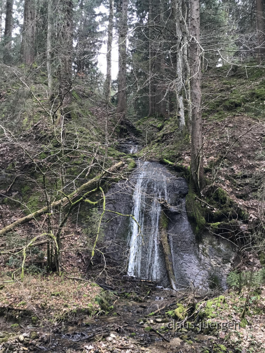 ?random=0&maxWidth=0&embedded=0#imageAnker_83417