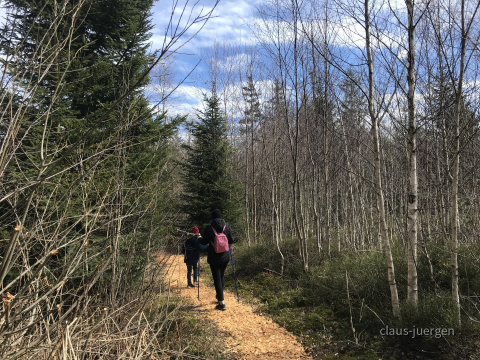 ?random=0&maxWidth=0&embedded=0#imageAnker_83426