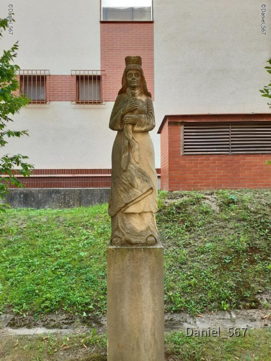 14_Nepomuk Stadt