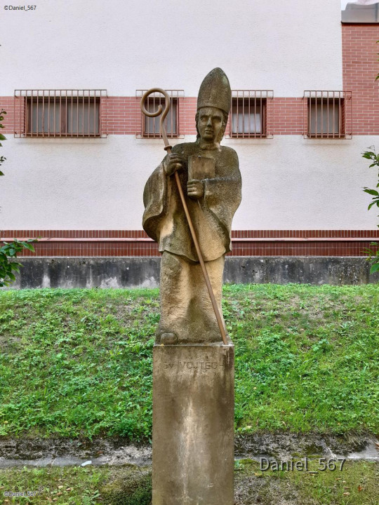 15_Nepomuk Stadt