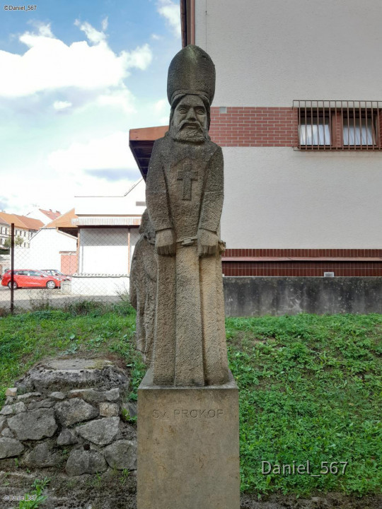 17_Nepomuk Stadt