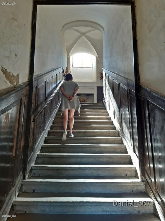 47_Schloss Zelena Hora