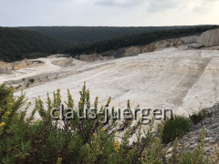 2023 (12)