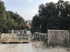 2023 (13)