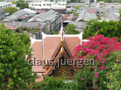 Wat Saket Bangkok