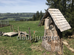 Kojenstein 04 (29)
