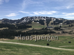 Kojenstein 04 (38)