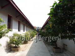 Wat Saket Bangkok