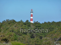52 Vuurtoren Ameland
