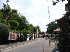 Wat Saket Bangkok