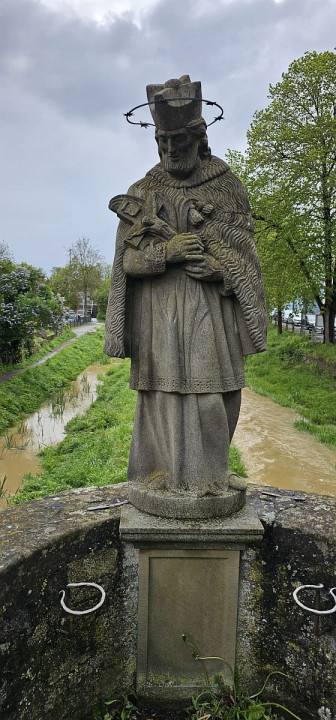 Schonungen2