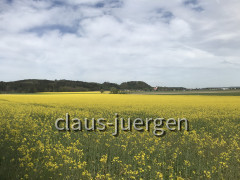 DF4FF9F3-5DD2-4E14-AB23-48E0F206A664