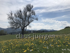 F3DA9F85-7B58-4191-9B35-181CA15EF7F2
