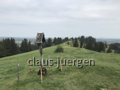 56C565B0-4FFC-4941-A3BD-131118EFA9E6
