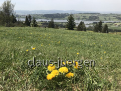 03BFA3EA-9B1B-416D-A052-12423E0F9CFE