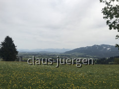 035A1747-616D-4355-B6B8-484ED371A314
