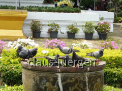 Wat Arun Bangkok