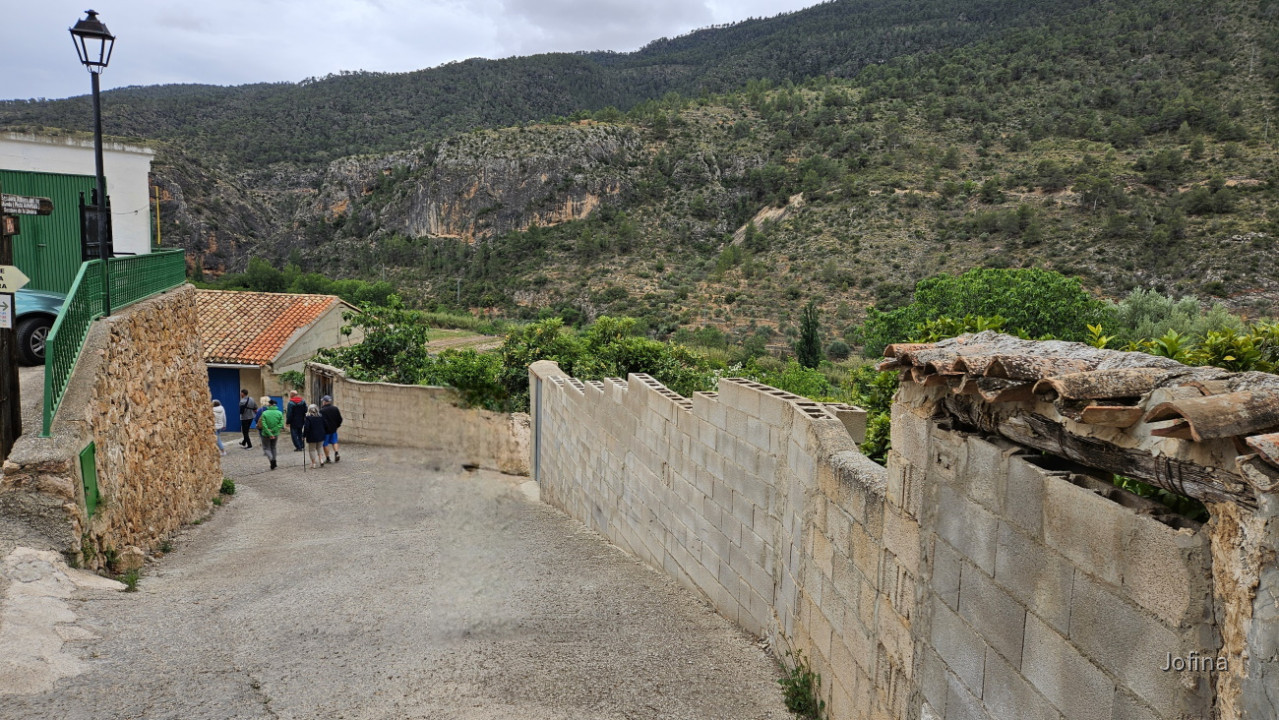 Ayna 15
