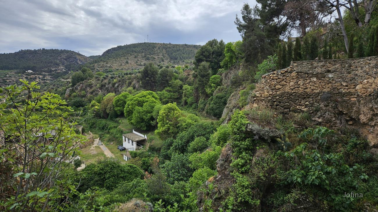 Letur 15